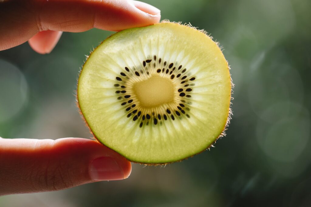 A close up of a fresh kiwi slice held between the photographer's index finger and thumb.